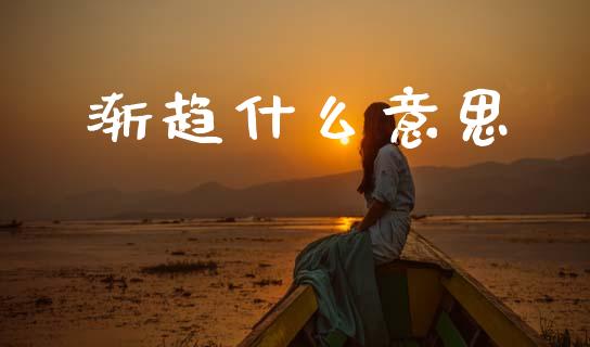 渐趋什么意思_https://m.jnlaobingbanjia.com_理财规划_第1张