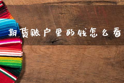 期货账户里的钱怎么看_https://m.jnlaobingbanjia.com_金融监管_第1张