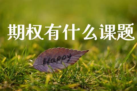 期权有什么课题_https://m.jnlaobingbanjia.com_基金市场_第1张