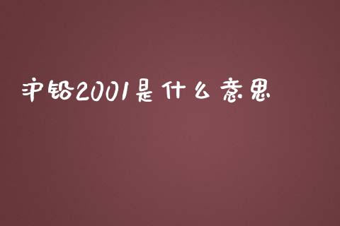 沪铅2001是什么意思_https://m.jnlaobingbanjia.com_全球市场_第1张
