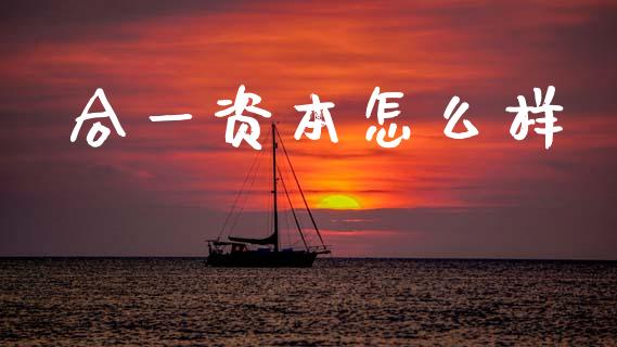 合一资本怎么样_https://m.jnlaobingbanjia.com_区块链_第1张