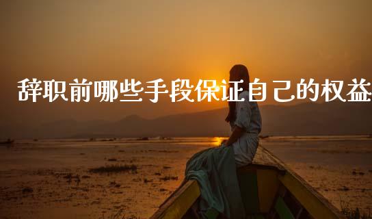 辞职前哪些手段保证自己的权益_https://m.jnlaobingbanjia.com_理财规划_第1张
