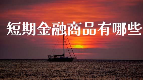 短期金融商品有哪些_https://m.jnlaobingbanjia.com_基金市场_第1张