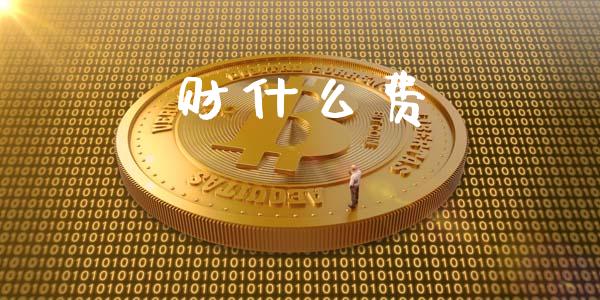 财什么费_https://m.jnlaobingbanjia.com_全球市场_第1张
