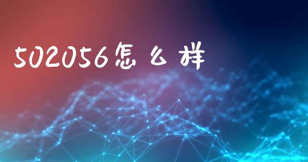 502056怎么样_https://m.jnlaobingbanjia.com_金融监管_第1张