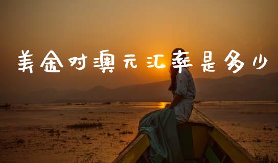 美金对澳元汇率是多少_https://m.jnlaobingbanjia.com_股市新闻_第1张