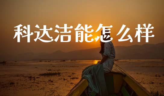 科达洁能怎么样_https://m.jnlaobingbanjia.com_基金市场_第1张
