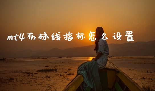mt4布林线指标怎么设置_https://m.jnlaobingbanjia.com_区块链_第1张