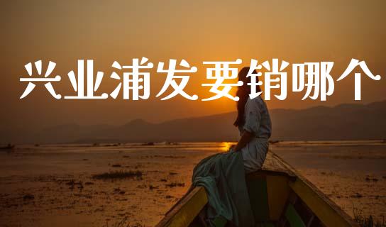 兴业浦发要销哪个_https://m.jnlaobingbanjia.com_区块链_第1张