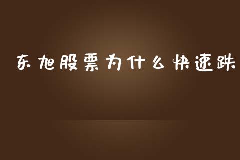 东旭股票为什么快速跌_https://m.jnlaobingbanjia.com_金融监管_第1张