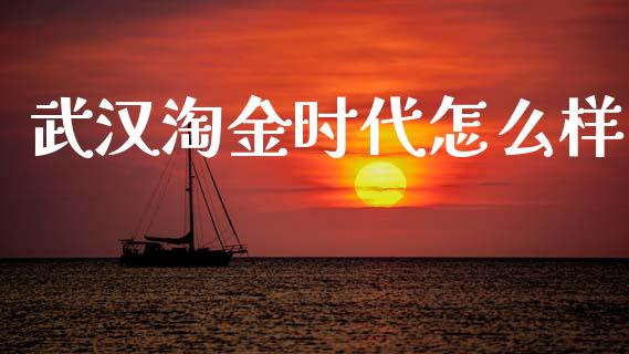武汉淘金时代怎么样_https://m.jnlaobingbanjia.com_金融监管_第1张