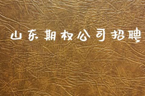 山东期权公司招聘_https://m.jnlaobingbanjia.com_区块链_第1张