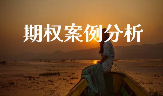期权案例分析_https://m.jnlaobingbanjia.com_全球市场_第1张