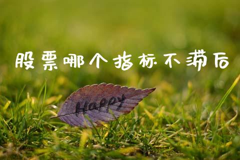 股票哪个指标不滞后_https://m.jnlaobingbanjia.com_区块链_第1张