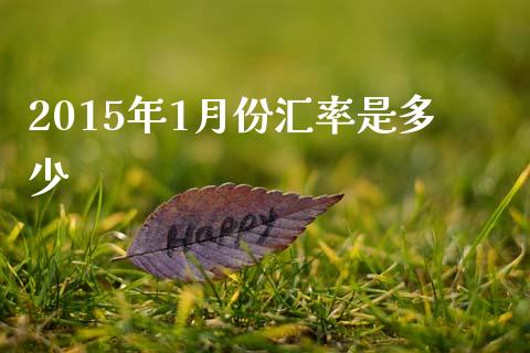 2015年1月份汇率是多少_https://m.jnlaobingbanjia.com_理财规划_第1张