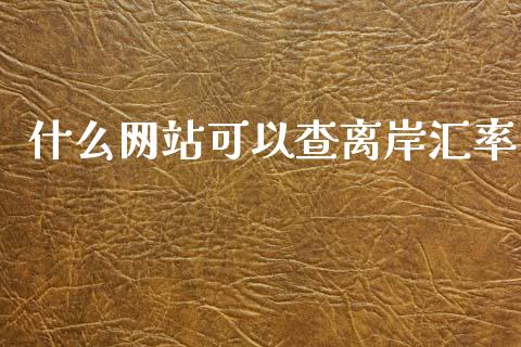 什么网站可以查离岸汇率_https://m.jnlaobingbanjia.com_股市新闻_第1张