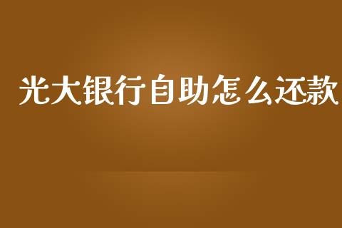 光大银行自助怎么还款_https://m.jnlaobingbanjia.com_基金市场_第1张