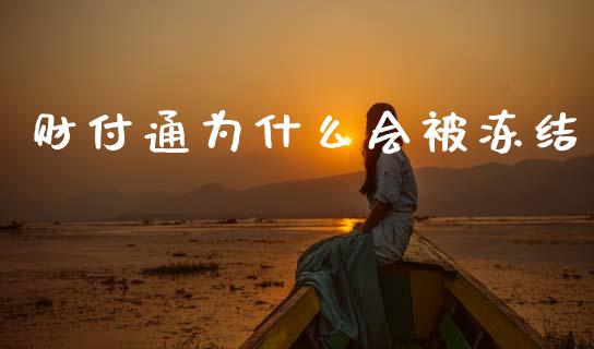 财付通为什么会被冻结_https://m.jnlaobingbanjia.com_金融监管_第1张