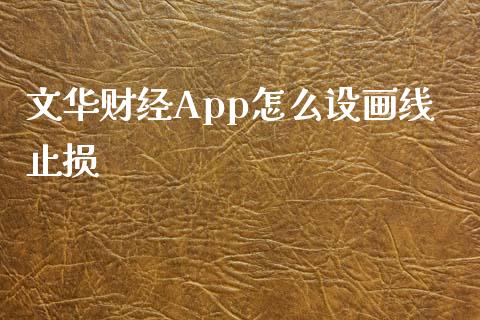 文华财经App怎么设画线止损_https://m.jnlaobingbanjia.com_全球市场_第1张