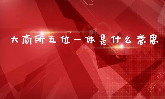 大商所五位一体是什么意思_https://m.jnlaobingbanjia.com_理财规划_第1张