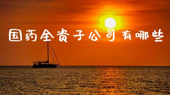 国药全资子公司有哪些_https://m.jnlaobingbanjia.com_全球市场_第1张