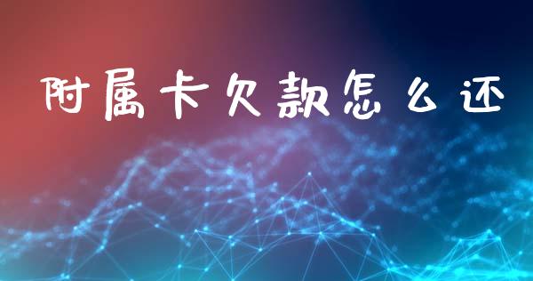 附属卡欠款怎么还_https://m.jnlaobingbanjia.com_股市新闻_第1张
