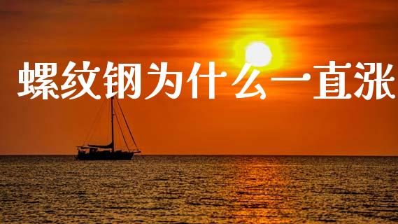 螺纹钢为什么一直涨_https://m.jnlaobingbanjia.com_金融监管_第1张
