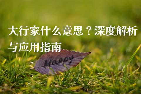 大行家什么意思？深度解析与应用指南_https://m.jnlaobingbanjia.com_区块链_第1张