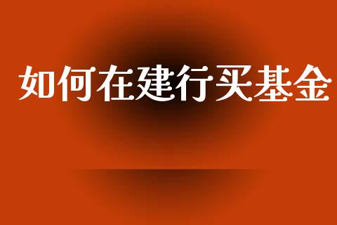 如何在建行买基金_https://m.jnlaobingbanjia.com_股市新闻_第1张