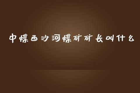 中煤西沙河煤矿矿长叫什么_https://m.jnlaobingbanjia.com_基金市场_第1张