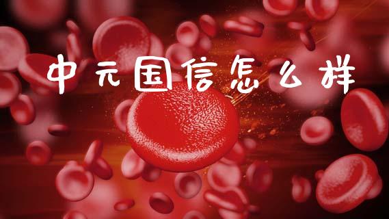 中元国信怎么样_https://m.jnlaobingbanjia.com_理财规划_第1张