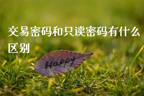 交易密码和只读密码有什么区别_https://m.jnlaobingbanjia.com_区块链_第1张
