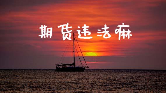 期货违法嘛_https://m.jnlaobingbanjia.com_基金市场_第1张