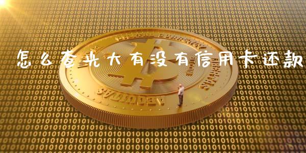 怎么查光大有没有信用卡还款_https://m.jnlaobingbanjia.com_金融监管_第1张