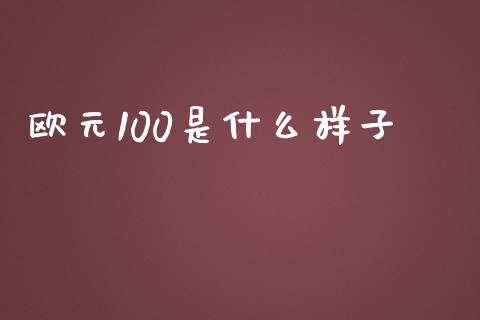 欧元100是什么样子_https://m.jnlaobingbanjia.com_全球市场_第1张