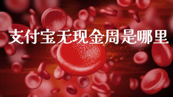 支付宝无现金周是哪里_https://m.jnlaobingbanjia.com_金融监管_第1张