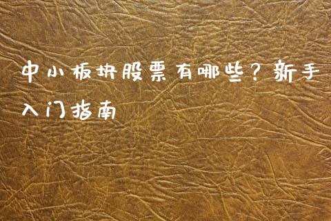 中小板块股票有哪些？新手入门指南_https://m.jnlaobingbanjia.com_股市新闻_第1张