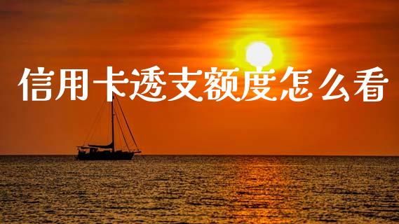 信用卡透支额度怎么看_https://m.jnlaobingbanjia.com_全球市场_第1张