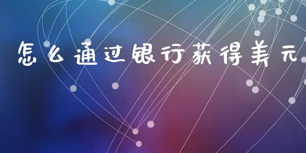 怎么通过银行获得美元_https://m.jnlaobingbanjia.com_金融监管_第1张