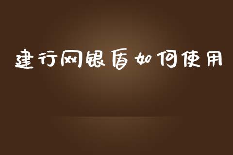 建行网银盾如何使用_https://m.jnlaobingbanjia.com_全球市场_第1张