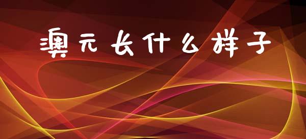 澳元长什么样子_https://m.jnlaobingbanjia.com_理财规划_第1张