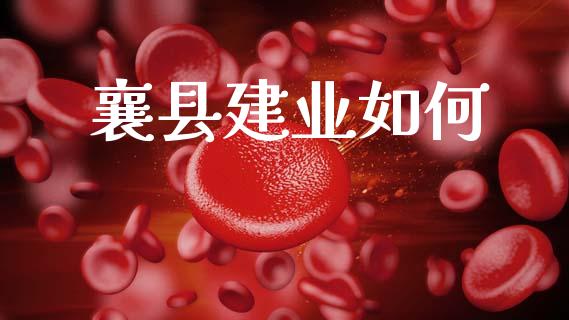 襄县建业如何_https://m.jnlaobingbanjia.com_基金市场_第1张