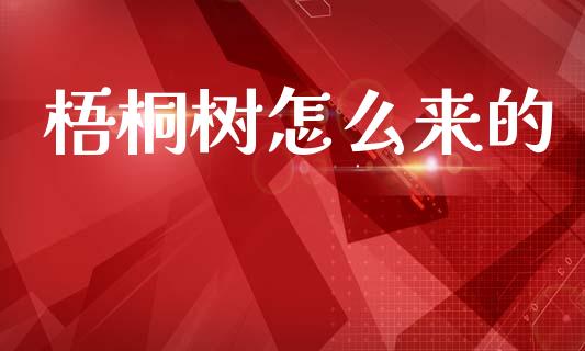 梧桐树怎么来的_https://m.jnlaobingbanjia.com_基金市场_第1张