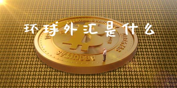 环球外汇是什么_https://m.jnlaobingbanjia.com_区块链_第1张