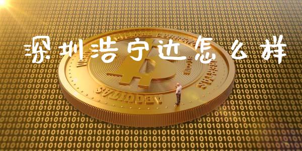 深圳浩宁达怎么样_https://m.jnlaobingbanjia.com_基金市场_第1张