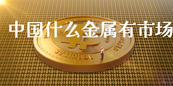中国什么金属有市场_https://m.jnlaobingbanjia.com_金融监管_第1张