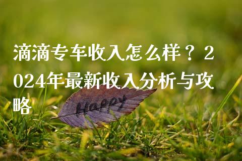 滴滴专车收入怎么样？ 2024年最新收入分析与攻略_https://m.jnlaobingbanjia.com_理财规划_第1张