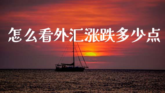 怎么看外汇涨跌多少点_https://m.jnlaobingbanjia.com_金融监管_第1张