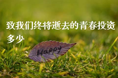 致我们终将逝去的青春投资多少_https://m.jnlaobingbanjia.com_全球市场_第1张