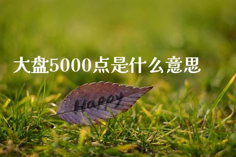 大盘5000点是什么意思_https://m.jnlaobingbanjia.com_全球市场_第1张